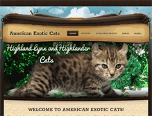 Tablet Screenshot of americanexoticcats.com